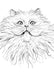Fluffy Kitty Matte Art Print Ink Drawings A5 (14.8 X 21 cm) Art Print