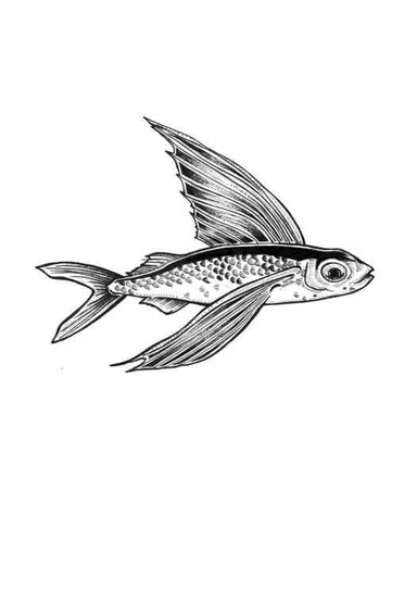 Flying Fisk Matte Art Print Sea Creatures A5 (14.8 X 21 cm) Art Print