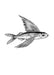 Flying Fisk Matte Art Print Sea Creatures A5 (14.8 X 21 cm) Art Print