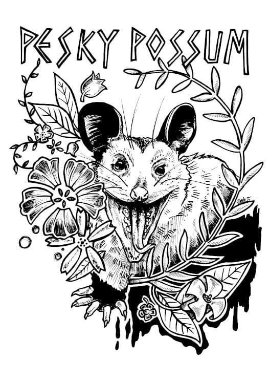 Pesky Possum Matte Art Print Ink Drawings A5 (14.8 X 21 cm) Art Print