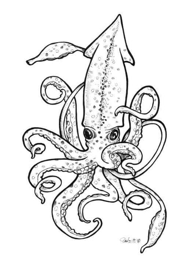 Squid Matte Art Print Sea Creatures A5 (14.8 X 21 cm) Art Print