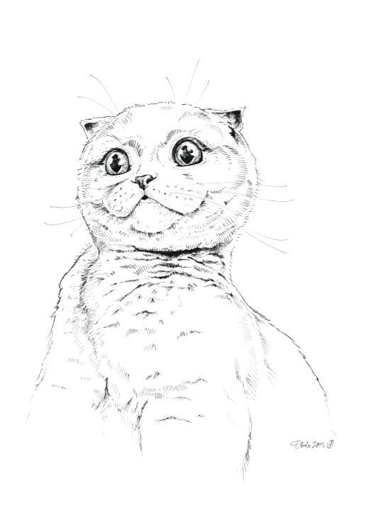 Surprise Kitty Matte Art Print Ink Drawings A5 (14.8 X 21 cm) Art Print