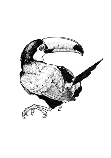 Toucan Ink Drawing Matte Art Print Ink Birds Art Print