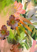 Tropical Polka Matte Art Print Polka Flora Art Print
