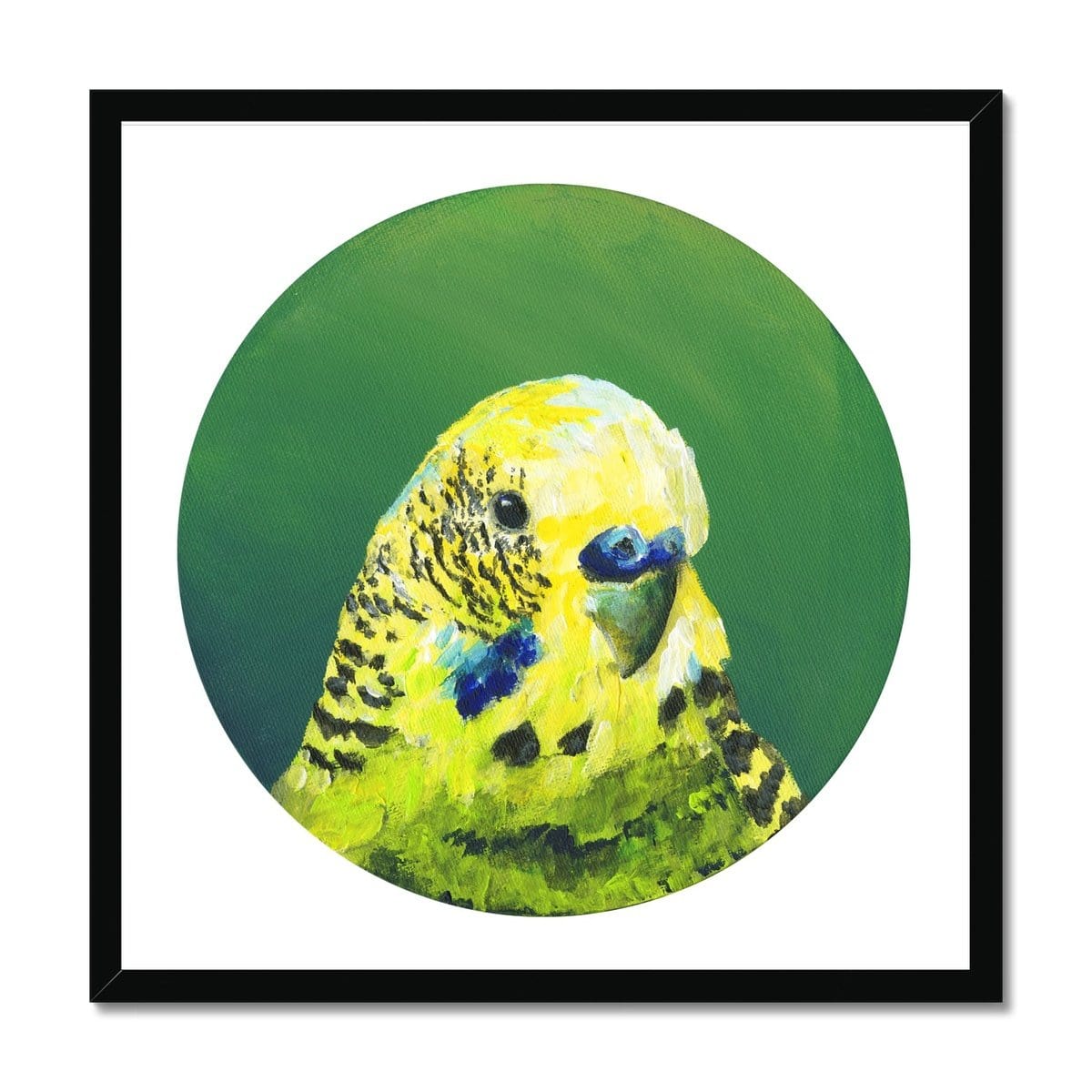 Green Budgie Framed Print Exotic Bird Paintings 20"x20" / Black Frame Framed Print