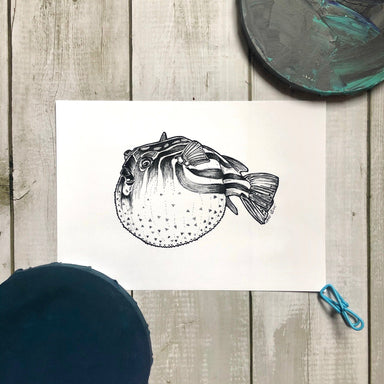 Blowfish Ink Drawing Matte Art Print Sea Creatures Art Print