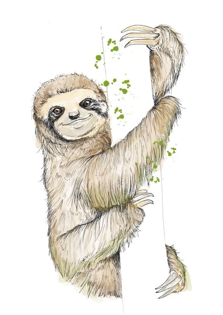 Sloth Matte Art Print Fluffy Tails & a Sloth A4 (21 X 29.7 cm) Art Print