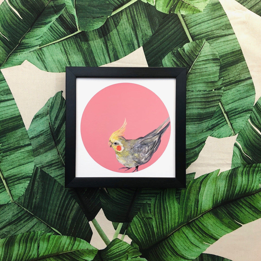 Cockatiel Giclée Art Print Exotic Bird Paintings 8" Square (20.32 X 20.32 cm) Square GIclee Art Print