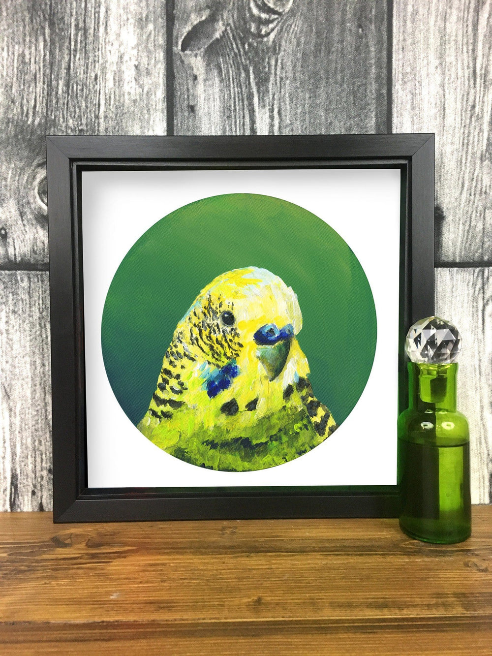 Green Budgie Giclée Art Print Exotic Bird Paintings 8" Square (20.32 X 20.32 cm) Square GIclee Art Print