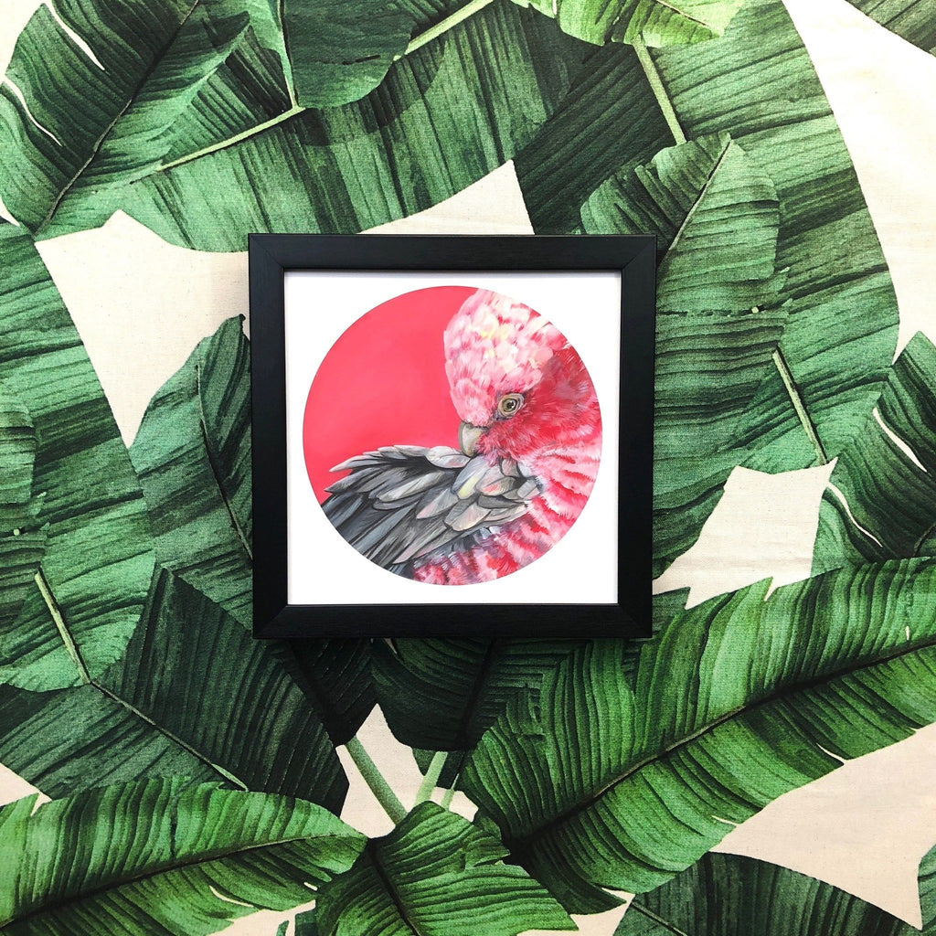 Galah Giclée Art Print Exotic Bird Paintings 8" Square (20.32 X 20.32 cm) Square GIclee Art Print