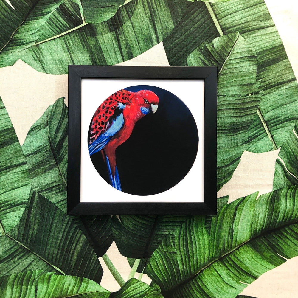 Crimson Rosella Giclée Art Print Exotic Bird Paintings 8" Square (20.32 X 20.32 cm) Square GIclee Art Print