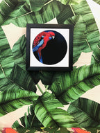 Crimson Rosella Giclée Art Print Exotic Bird Paintings 8" Square (20.32 X 20.32 cm) Square GIclee Art Print