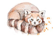 Red Panda Matte Art Print Fluffy Tails & a Sloth A4 (21 X 29.7 cm) Art Print