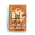 Caracal Brushes Canvas Print ADimals 24" X 36" Canvas Print