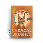 Caracal Brushes Canvas Print ADimals 24" X 36" Canvas Print