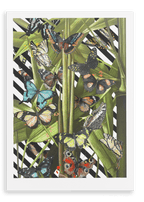 Butterfly Tropicana Canvas Print The Gathering 28"x40"(70x100 cm) Canvas Print