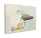 Banana Gull Giclée Canvas Print Sticky Beaks 28"x40"(70x100 cm) Canvas Print