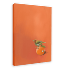 Tangerine Tanager Giclée Canvas Print Sticky Beaks 28"x40"(70x100 cm) Canvas Print