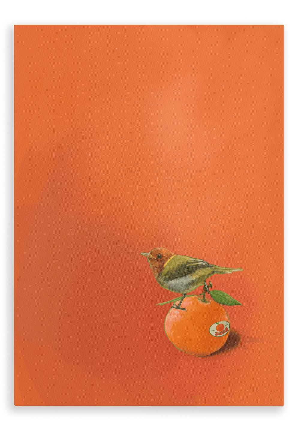 Tangerine Tanager Giclée Canvas Print Sticky Beaks 28"x40"(70x100 cm) Canvas Print