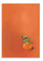 Tangerine Tanager Giclée Canvas Print Sticky Beaks 28"x40"(70x100 cm) Canvas Print