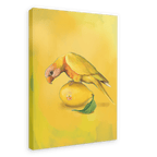 Lemon Lorikeet Giclée Canvas Print Sticky Beaks 28"x40"(70x100 cm) Canvas Print