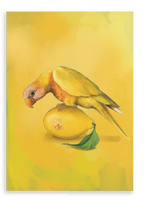 Lemon Lorikeet Giclée Canvas Print Sticky Beaks 28"x40"(70x100 cm) Canvas Print