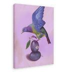 Plump Pigeon Giclée Canvas Print Sticky Beaks 28"x40"(70x100 cm) Canvas Print