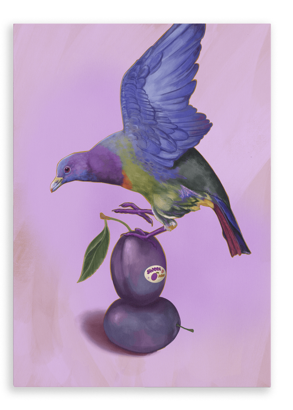 Plump Pigeon Giclée Canvas Print Sticky Beaks 28"x40"(70x100 cm) Canvas Print