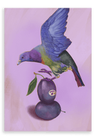 Plump Pigeon Giclée Canvas Print Sticky Beaks 28"x40"(70x100 cm) Canvas Print