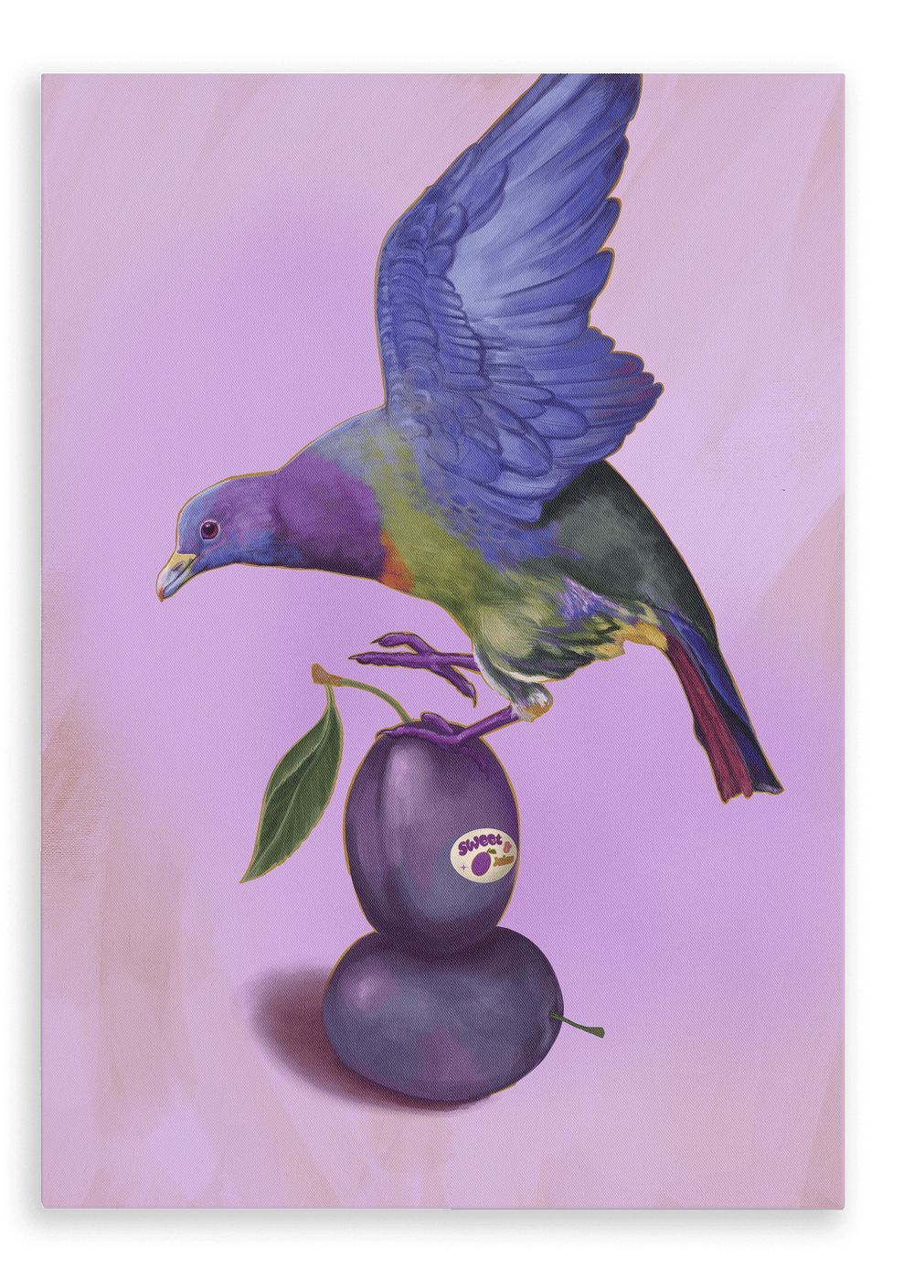 Plump Pigeon Giclée Canvas Print Sticky Beaks 28"x40"(70x100 cm) Canvas Print