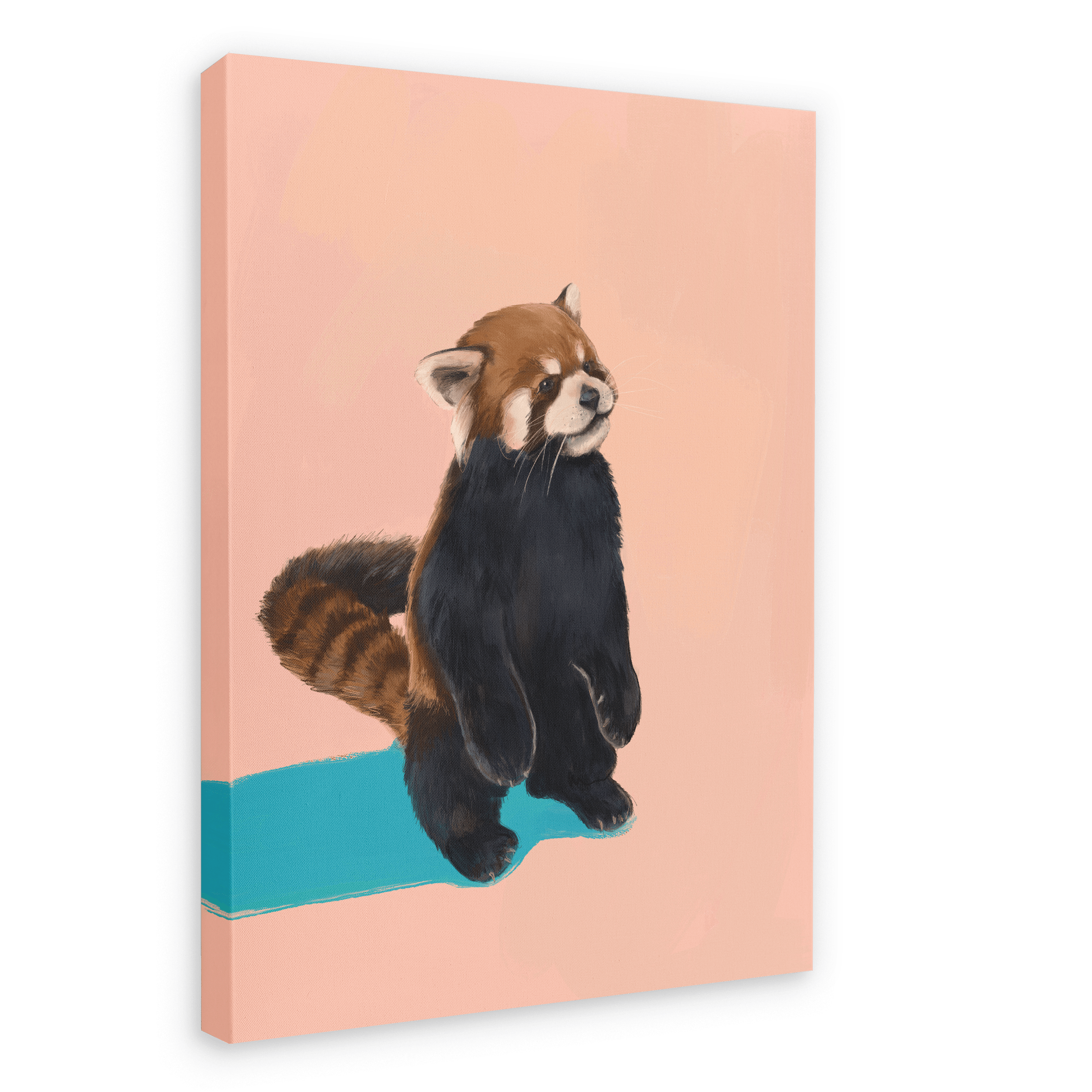 Red Panda PB Canvas Print Food Fur & Feathers 28