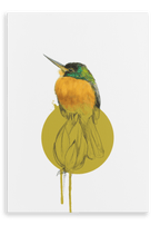 Blue Cheeked Jacamar Canvas Print Drippy Birds 28"x40"(70x100 cm) Canvas Print