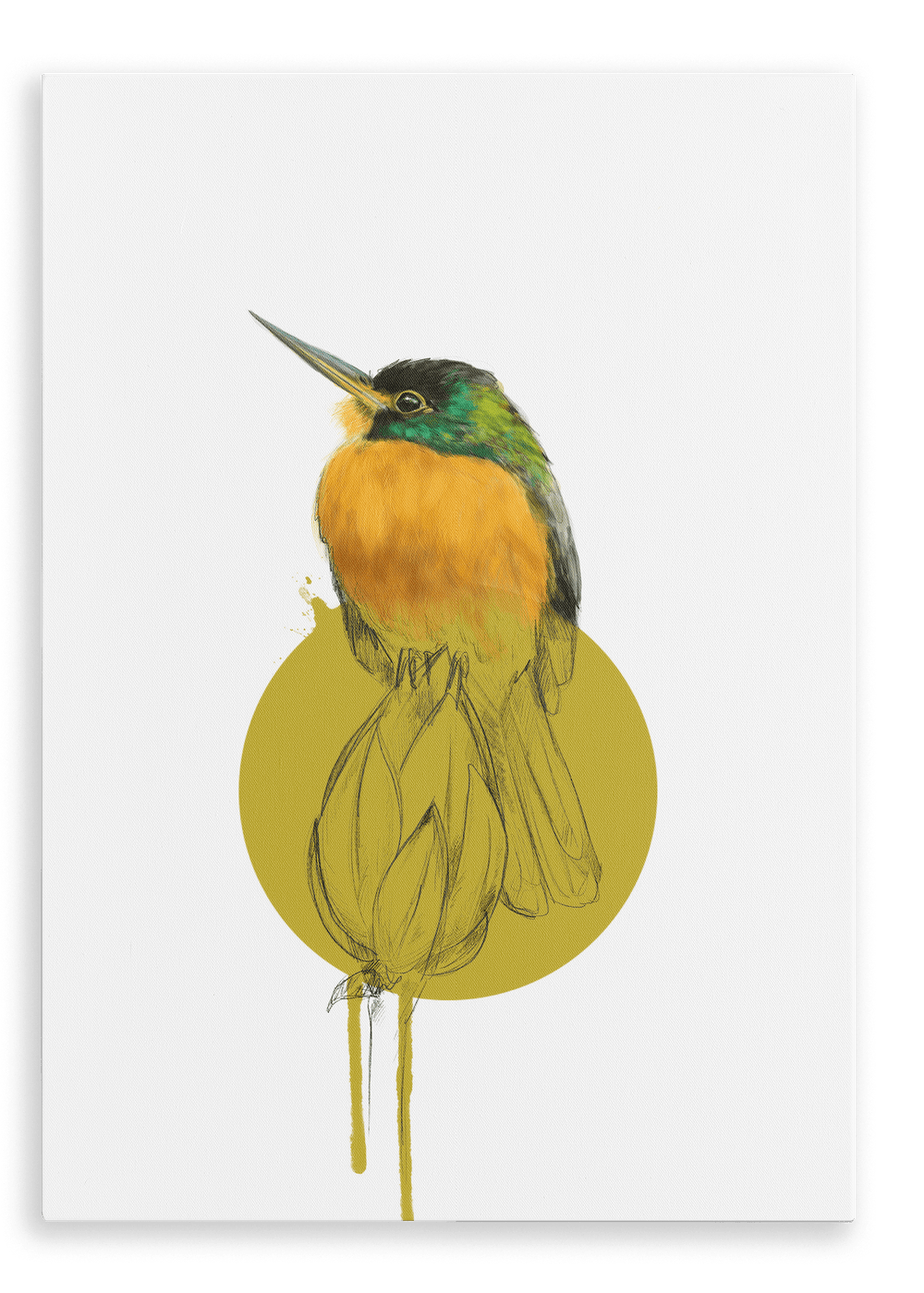 Blue Cheeked Jacamar Canvas Print Drippy Birds 28"x40"(70x100 cm) Canvas Print