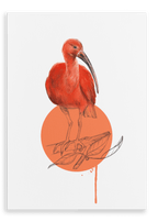 Scarlet Ibis Canvas Print Drippy Birds 28"x40"(70x100 cm) Canvas Print