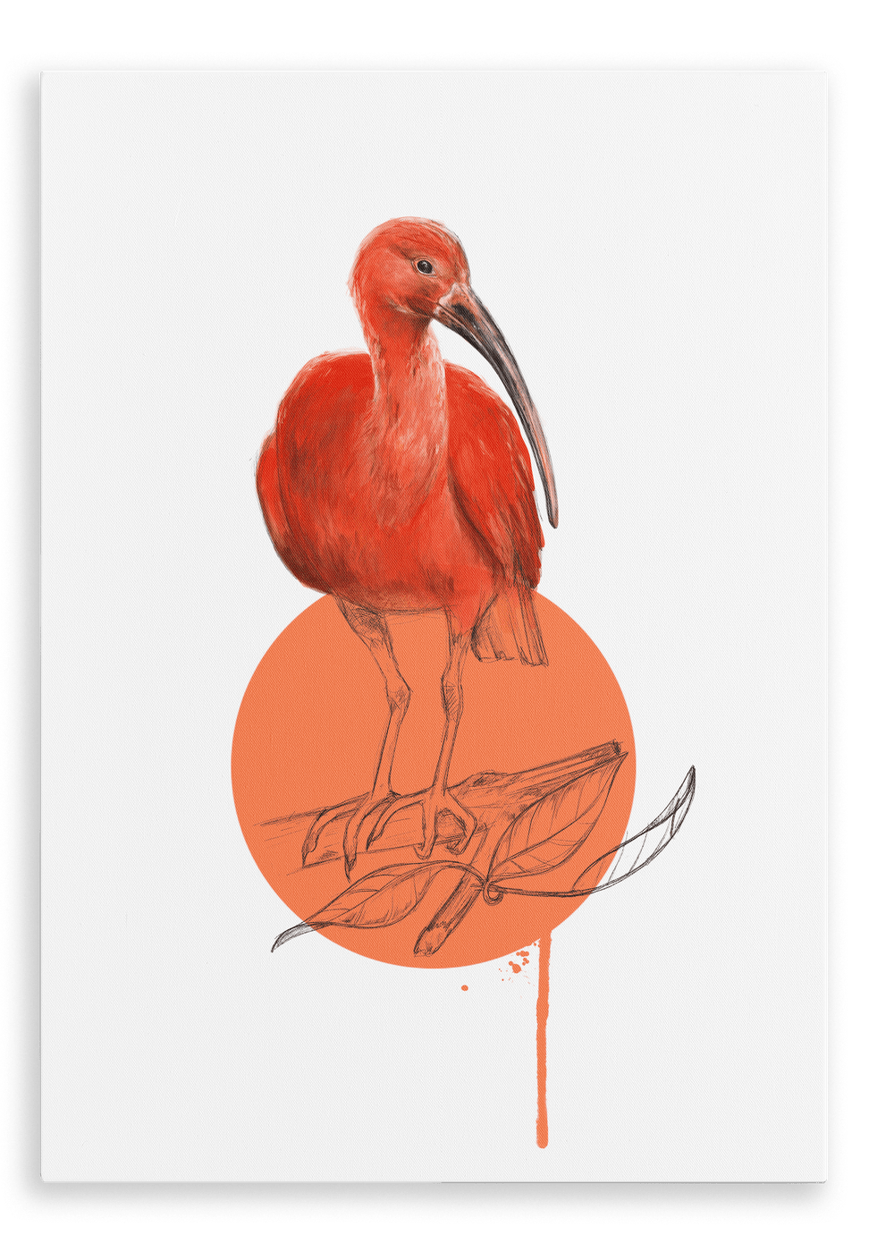 Scarlet Ibis Canvas Print Drippy Birds 28"x40"(70x100 cm) Canvas Print