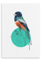 Blue Crowned Trogon Canvas Print Drippy Birds 28"x40"(70x100 cm) Canvas Print