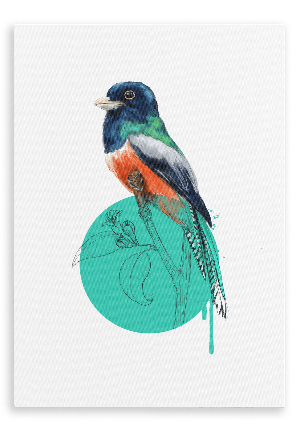 Blue Crowned Trogon Canvas Print Drippy Birds 28"x40"(70x100 cm) Canvas Print