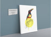 Chestnut Eared Araçari Canvas Print Drippy Birds 28"x40"(70x100 cm) Canvas Print