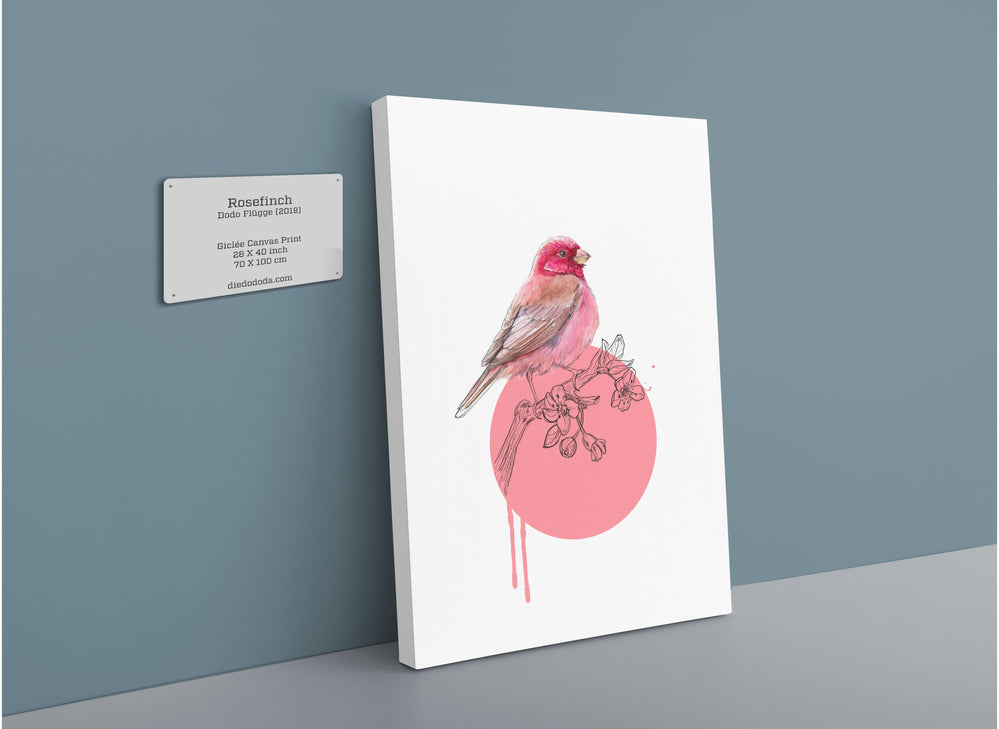 Rose Finch Canvas Print Drippy Birds 28"x40"(70x100 cm) Canvas Print