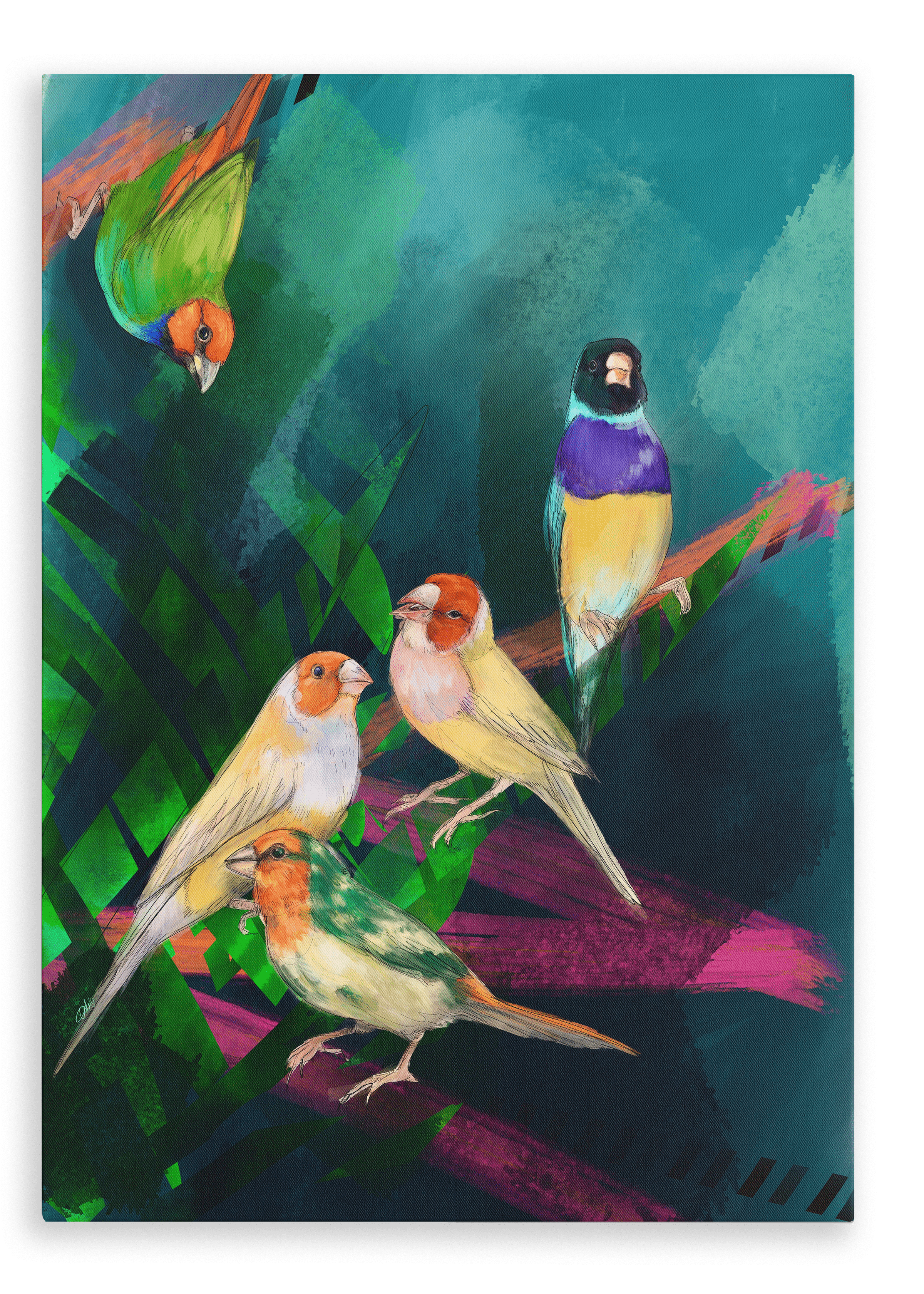 A Fandango Of Finches Canvas Print The Gathering 28