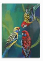Rondel Of Rosellas Canvas Print The Gathering 28"x40"(70x100 cm) Canvas Print