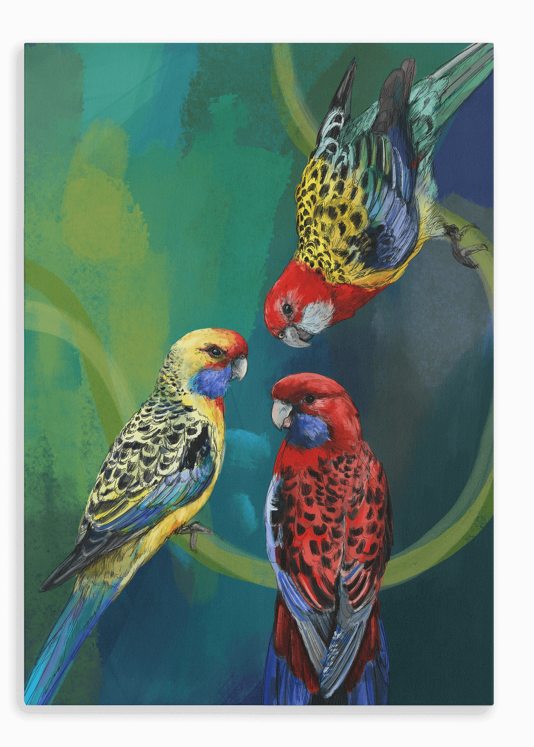 Rondel Of Rosellas Canvas Print The Gathering 28"x40"(70x100 cm) Canvas Print