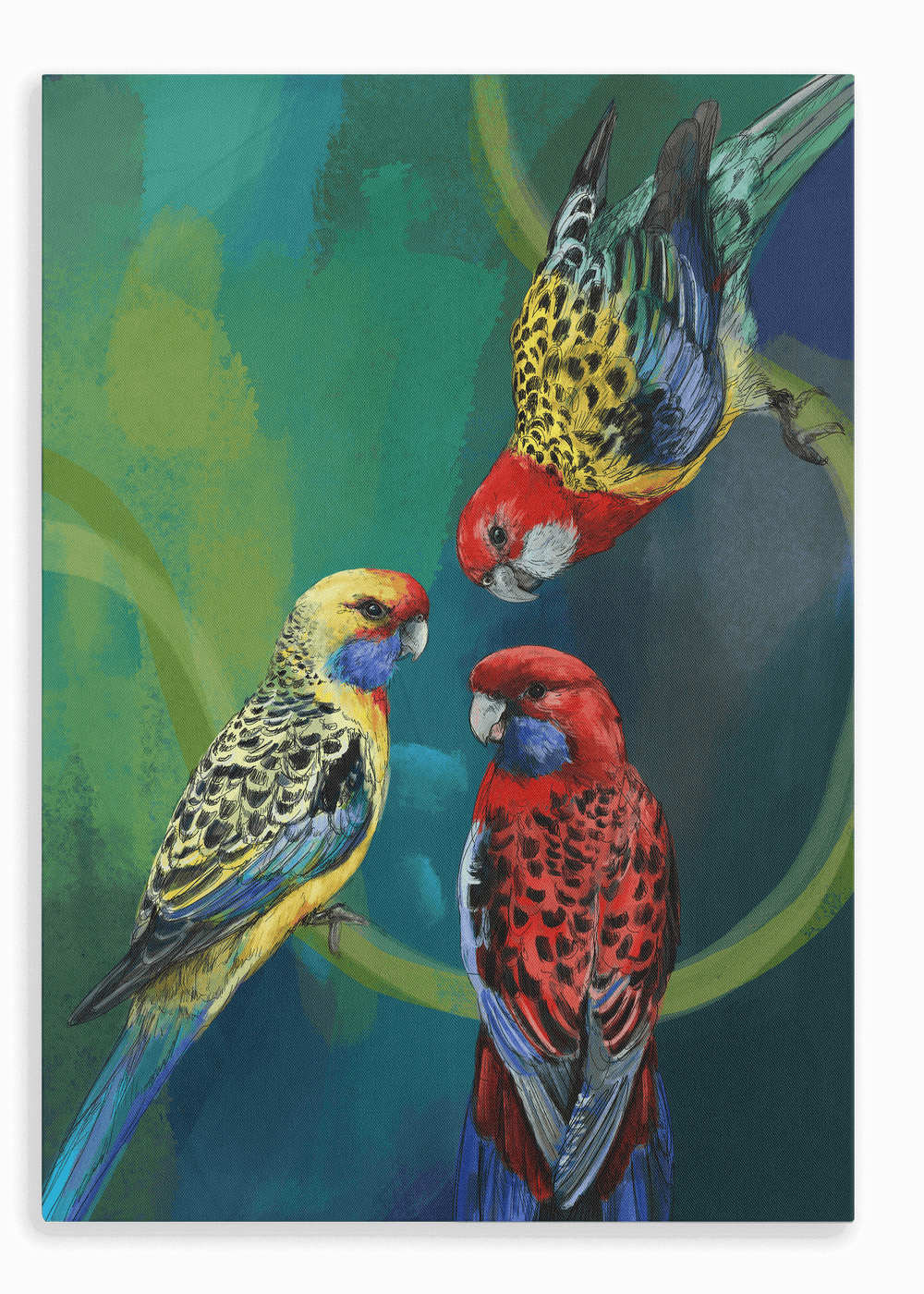 Rondel Of Rosellas Canvas Print The Gathering 28"x40"(70x100 cm) Canvas Print