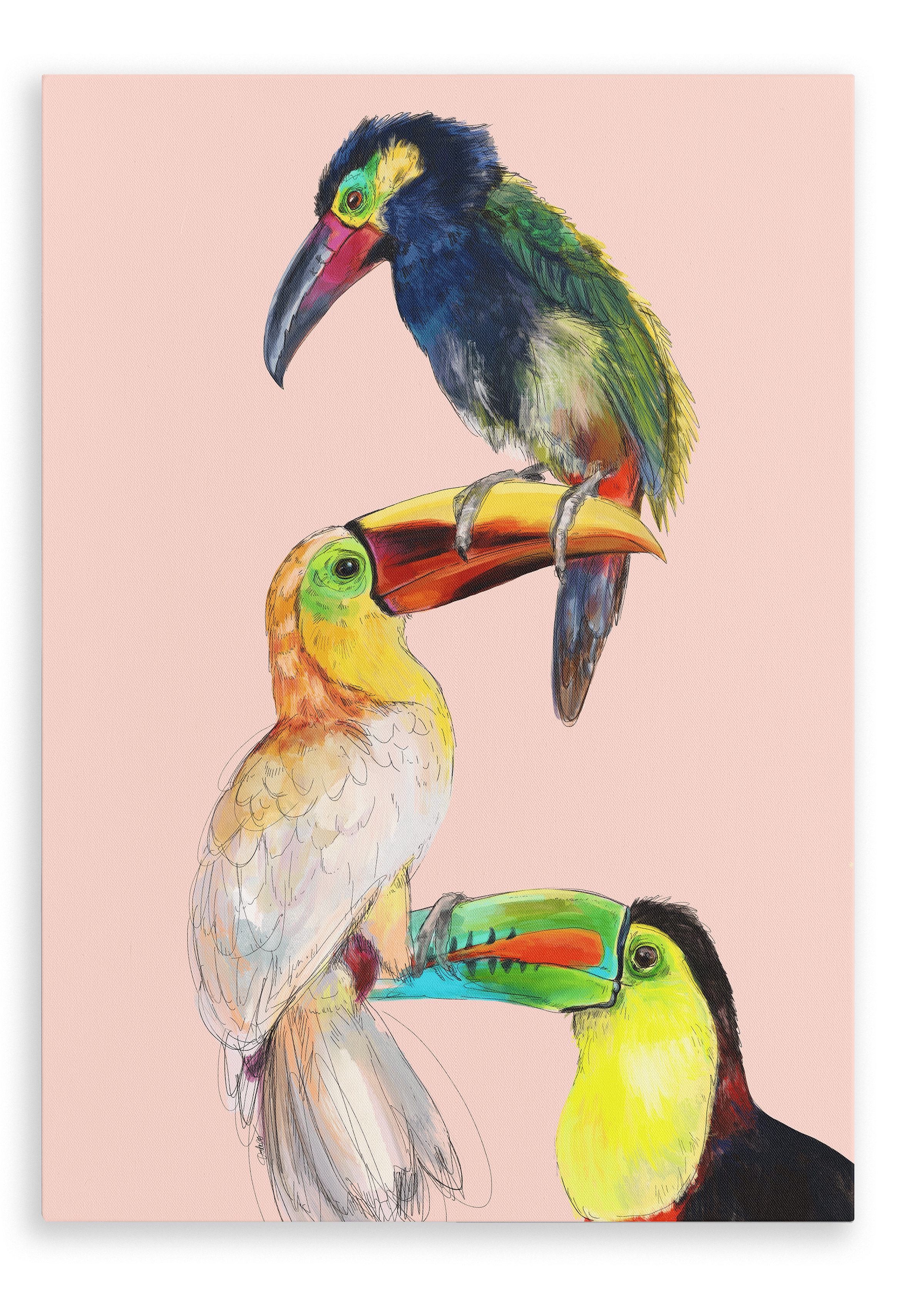 Tower Of Toucans Canvas Print The Gathering 28"x40"(70x100 cm) Canvas Print