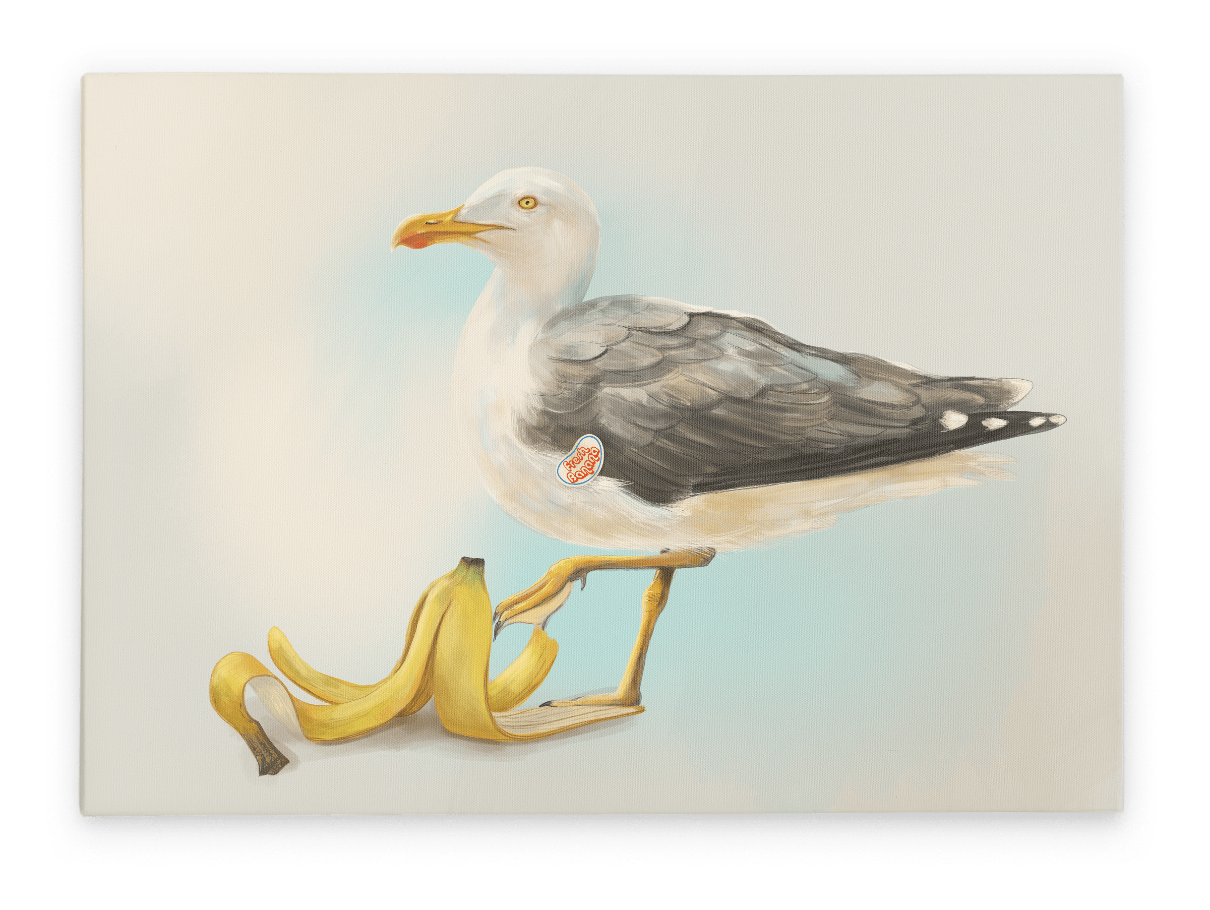 Banana Gull Giclée Canvas Print Sticky Beaks 28"x40"(70x100 cm) Canvas Print