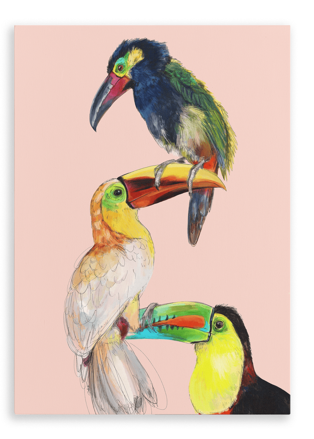 Tower Of Toucans Canvas Print The Gathering 28"x40"(70x100 cm) Canvas Print