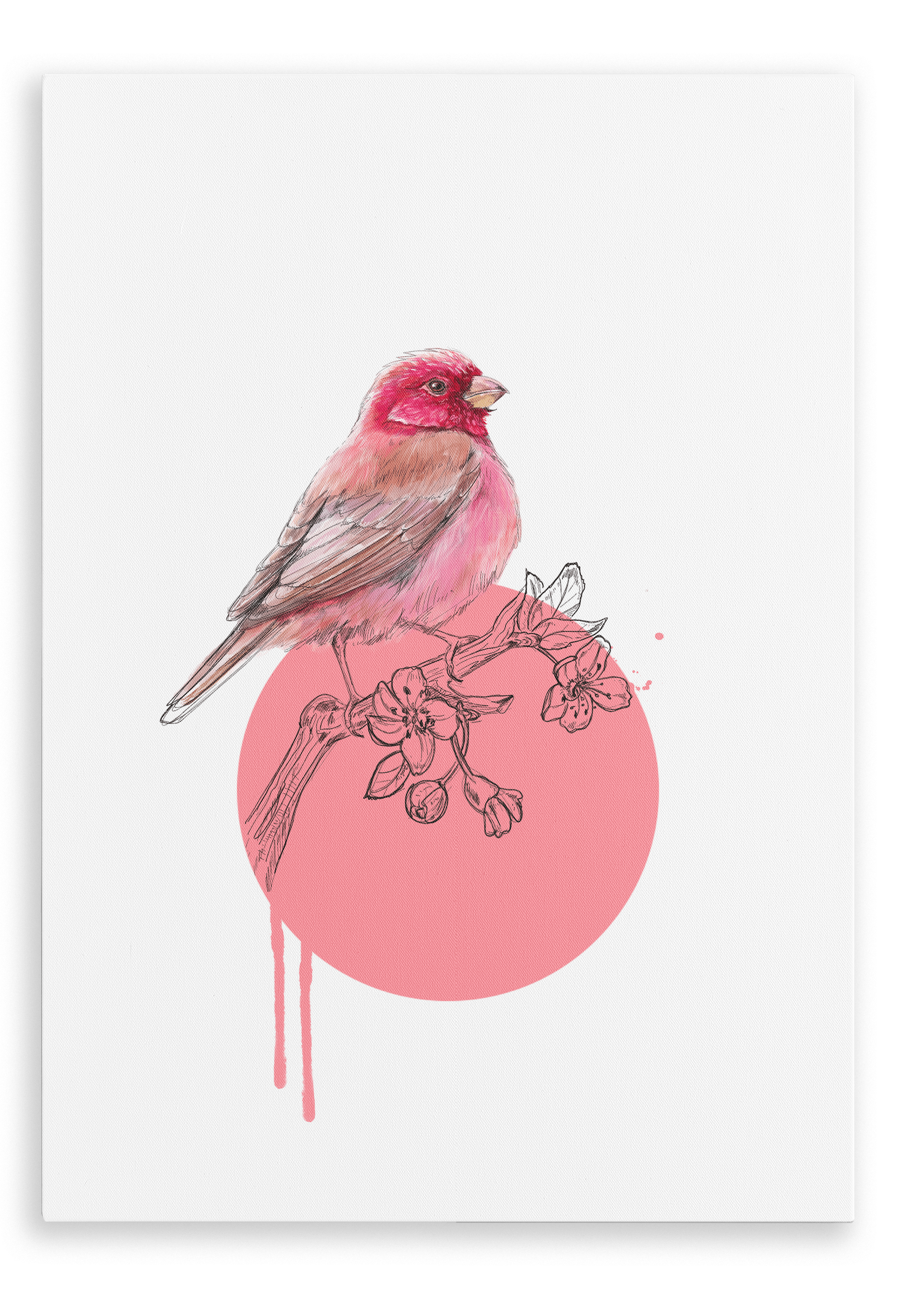 Rose Finch Canvas Print Drippy Birds 28"x40"(70x100 cm) Canvas Print