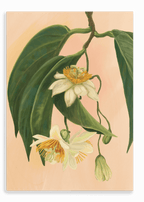 Passionflower Canvas Print Tree Flowers 28"x40"(70x100 cm) Canvas Print