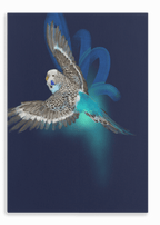 Budgerigar’s Midnight Adventure Canvas Print Night Flight 28"x40"(70x100 cm) Canvas Print