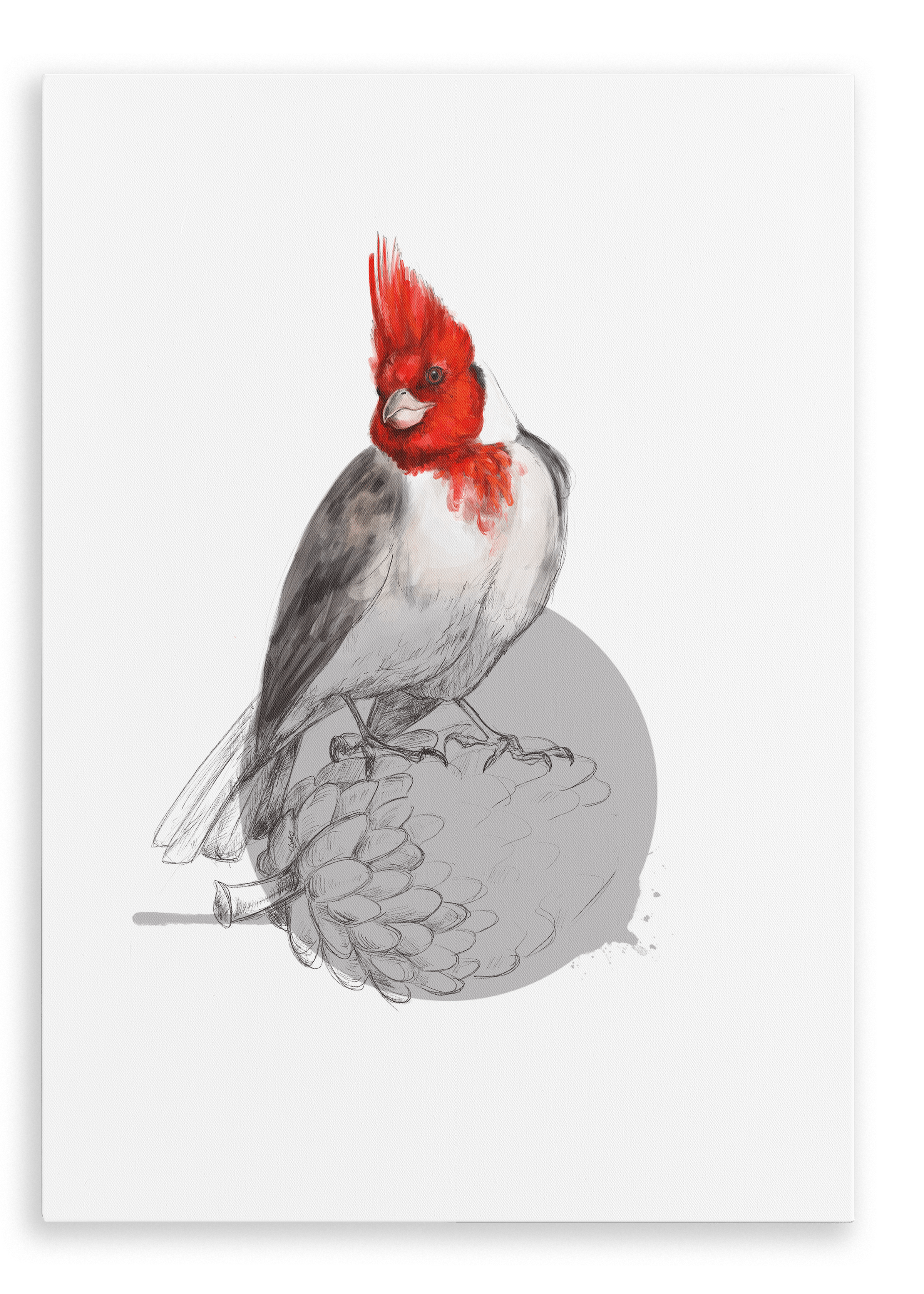 Red Crested Cardinal Canvas Print Drippy Birds 28"x40"(70x100 cm) Canvas Print